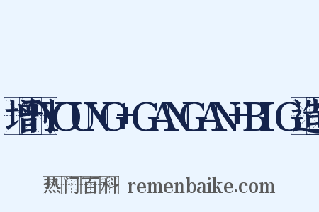 增刊YOUNG+GANGAN+BIG造句是什么意思的图片